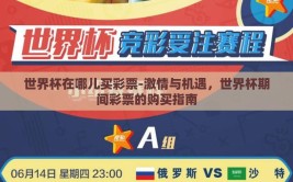 世界杯在哪儿买彩票-激情与机遇，世界杯期间彩票的购买指南