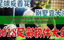 世界杯冠军彩票怎么玩-揭秘世界杯冠军彩票的乐趣与技巧，中奖之路的绿洲