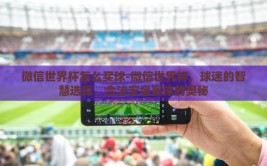 微信世界杯怎么买球-微信世界杯，球迷的智慧选择，合法安全买球的奥秘