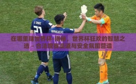 在哪里赌世界杯-揭秘，世界杯狂欢的智慧之选 – 合法观赛渠道与安全氛围营造