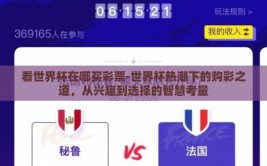 看世界杯在哪买彩票-世界杯热潮下的购彩之道，从兴趣到选择的智慧考量