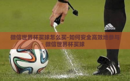 微信世界杯买球怎么买-如何安全高效地参与微信世界杯买球