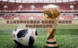 怎么赌世界杯在哪里买-精彩绝伦，畅谈世界杯的压轴投注攻略