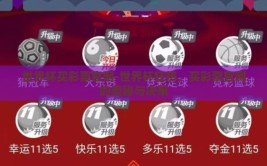世界杯买彩票官网-世界杯狂热，买彩票官网的奥秘与决策
