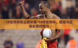 18世界杯有正规彩票-18年世界杯，辉煌与正规彩票的魅力