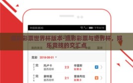 赢彩彩票世界杯版本-赢彩彩票与世界杯，娱乐竞技的交汇点