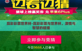 赢彩彩票世界杯-赢彩彩票与世界杯，激情与智慧的碰撞
