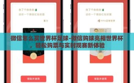 微信怎么买世界杯足球-微信购球亮相世界杯，轻松购票与实时观赛新体验