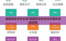 哪里卖世界杯彩票-哪里购买世界杯彩票的实用指南