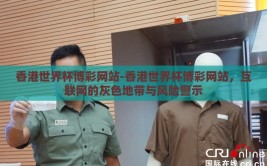 香港世界杯博彩网站-香港世界杯博彩网站，互联网的灰色地带与风险警示