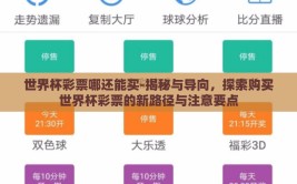 世界杯彩票哪还能买-揭秘与导向，探索购买世界杯彩票的新路径与注意要点