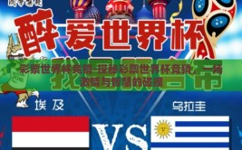 彩票世界杯竞猜-探秘彩票世界杯竞猜，一场激情与智慧的碰撞
