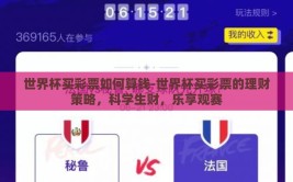 世界杯买彩票如何算钱-世界杯买彩票的理财策略，科学生财，乐享观赛