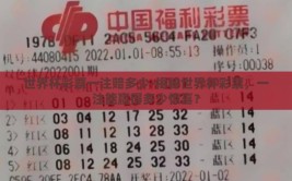 世界杯彩票一注赔多少-揭秘世界杯彩票，一注能赢得多少惊喜？