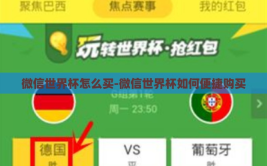 微信世界杯怎么买-微信世界杯如何便捷购买