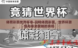 体育彩票世界杯串-玩转体育彩票，世界杯激情与串关策略的共鸣