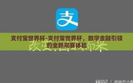 支付宝世界杯-支付宝世界杯，数字金融引领的全新观赛体验