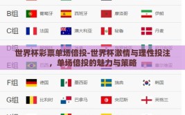 世界杯彩票单场倍投-世界杯激情与理性投注，单场倍投的魅力与策略