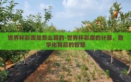 世界杯彩票是怎么算的-世界杯彩票的计算，数字化背后的智慧