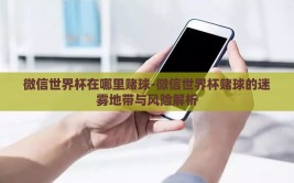 微信世界杯在哪里赌球-微信世界杯赌球的迷雾地带与风险解析