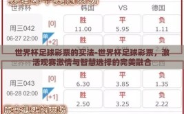 世界杯足球彩票的买法-世界杯足球彩票，激活观赛激情与智慧选择的完美融合