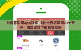 世界杯彩票app暂停-揭秘世界杯彩票APP暂停，制度监管下的理性展望