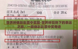 世界杯体彩彩票中奖图-世界杯狂热下的幸运之旅，一窥体彩彩票中奖奇迹