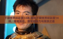 下期世界杯彩票14场-解析下期世界杯彩票14场，赌局背后，数字的魅力与预测之道
