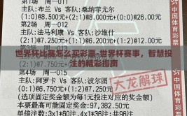 世界杯比赛怎么买彩票-世界杯赛事，智慧投注的精彩指南
