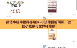 微信小程序世界杯赌球-非法赌博的阴影，微信小程序与世界杯赌球
