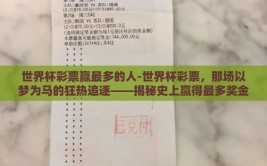 世界杯彩票赢最多的人-世界杯彩票，那场以梦为马的狂热追逐——揭秘史上赢得最多奖金的彩民