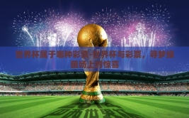 世界杯属于哪种彩票-世界杯与彩票，寻梦绿茵场上的惊喜