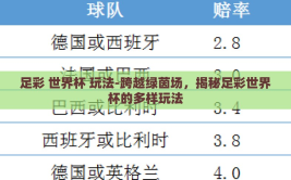 足彩 世界杯 玩法-跨越绿茵场，揭秘足彩世界杯的多样玩法