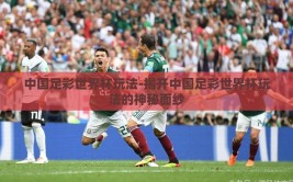 中国足彩世界杯玩法-揭开中国足彩世界杯玩法的神秘面纱