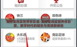 支付宝购买世界杯彩票-支付宝购买世界杯彩票，数字时代的娱乐与竞技新体验