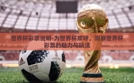 世界杯彩票说明-为世界杯欢呼，洞察世界杯彩票的魅力与玩法