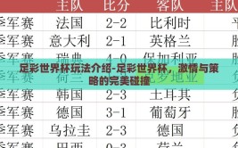足彩世界杯玩法介绍-足彩世界杯，激情与策略的完美碰撞