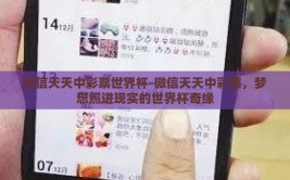 微信天天中彩票世界杯-微信天天中彩票，梦想照进现实的世界杯奇缘