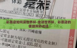 彩票店如何买世界杯-走进世界杯，彩票店的便捷购彩途径
