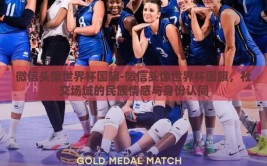 微信头像世界杯国旗-微信头像世界杯国旗，社交场域的民族情感与身份认同