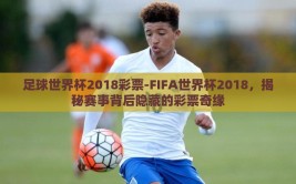 足球世界杯2018彩票-FIFA世界杯2018，揭秘赛事背后隐藏的彩票奇缘