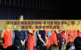 支付宝在哪里买世界杯-支付宝购世界杯，便捷无忧，畅享世界杯盛宴