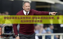 微信彩票怎么买世界杯-微信彩票购彩指南，轻松玩转世界杯竞技