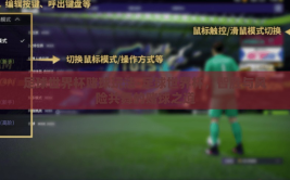 足球世界杯赌球玩法-足球世界杯，智胜与风险共舞的赌球之道