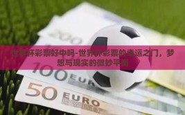 世界杯彩票好中吗-世界杯彩票的幸运之门，梦想与现实的微妙平衡