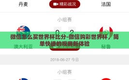 微信怎么买世界杯比分-微信购彩世界杯，简单快捷的观赛新体验