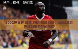 2002世界杯 彩票 说明-精彩绝彩，2002年世界杯彩票的梦幻回忆
