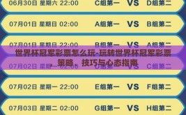 世界杯冠军彩票怎么玩-玩转世界杯冠军彩票，策略、技巧与心态指南