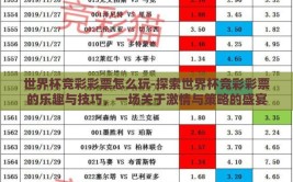 世界杯竞彩彩票怎么玩-探索世界杯竞彩彩票的乐趣与技巧，一场关于激情与策略的盛宴