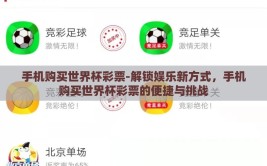手机购买世界杯彩票-解锁娱乐新方式，手机购买世界杯彩票的便捷与挑战